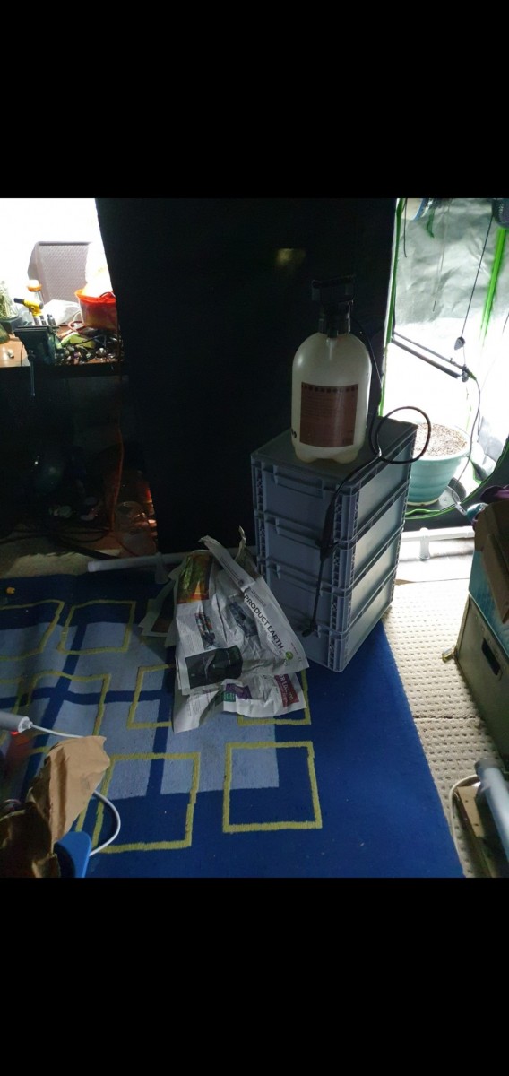 Screenshot_20220206-215901_Gallery