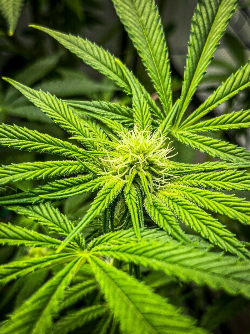 E8C7DD61-D3DC-42C3-91D3-0AAD2486927E