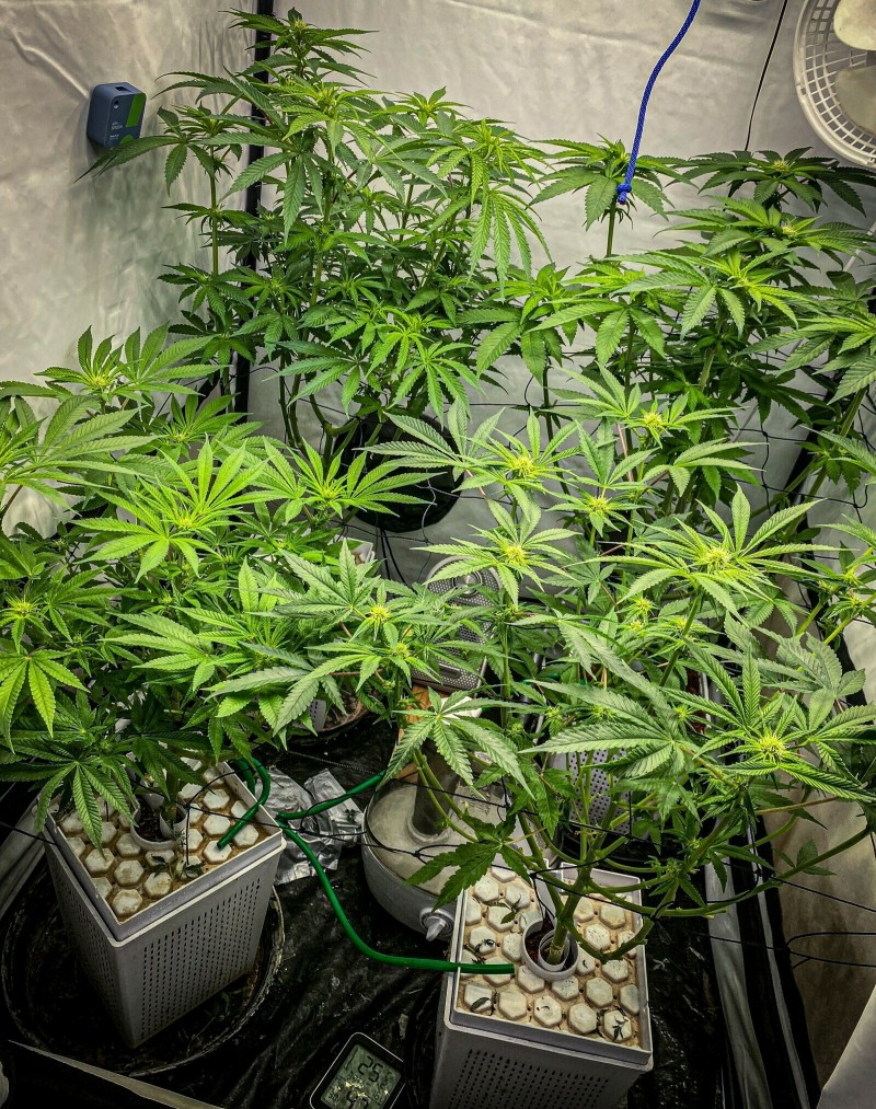 2D83ECBD-B9F1-429D-B97C-36631F0CA67C