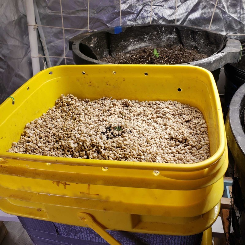 16443548861495103940590575232577