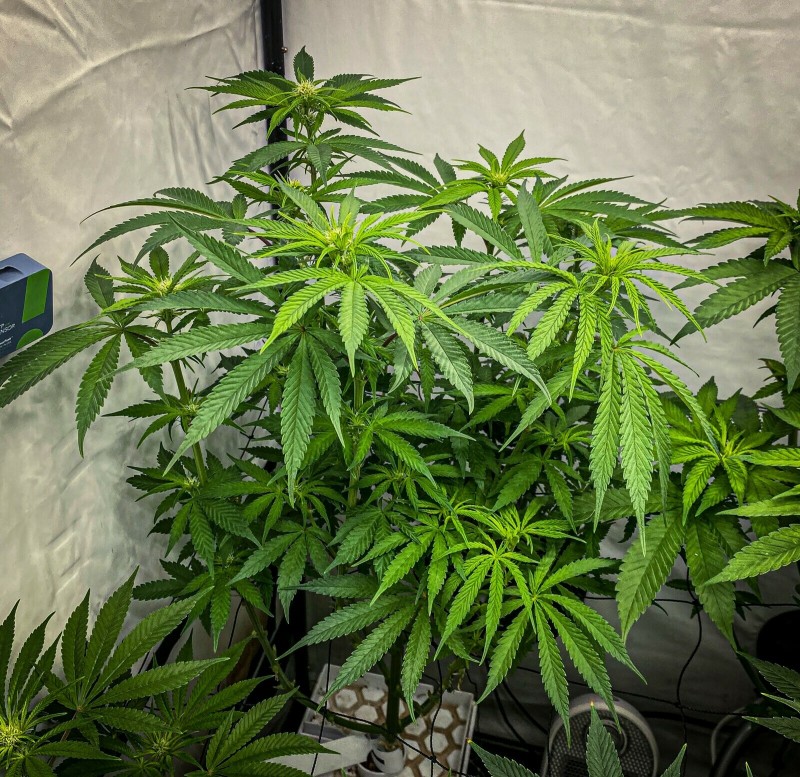 81342FE9-CB7C-45F0-92E6-83BAA6DF786D