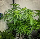 81342FE9-CB7C-45F0-92E6-83BAA6DF786D