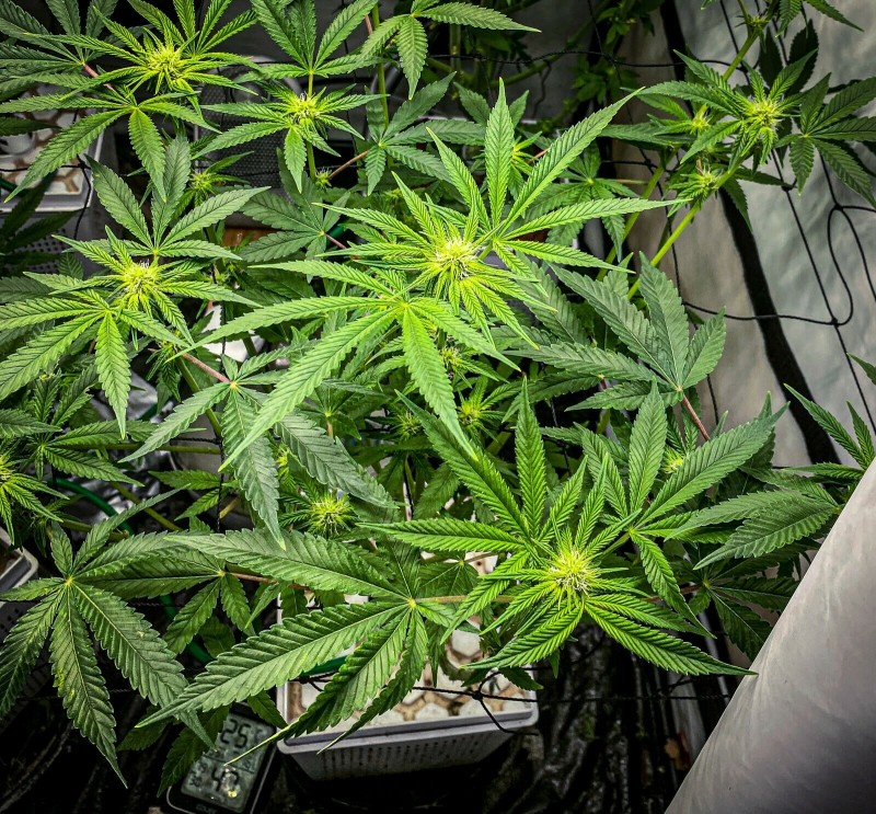 EA2CDDF7-BCE7-44A6-9CFC-44D8151F3618