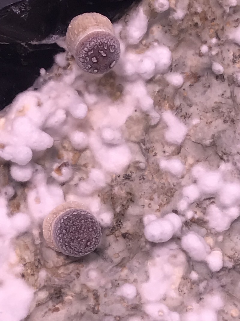 DF3DF1F8-E2CB-4B12-B4E8-5564542927D9