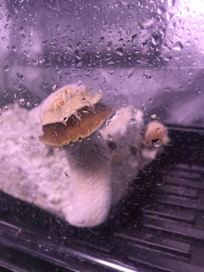 DA5FF31D-552C-4BD3-BC07-5A1513BE505C