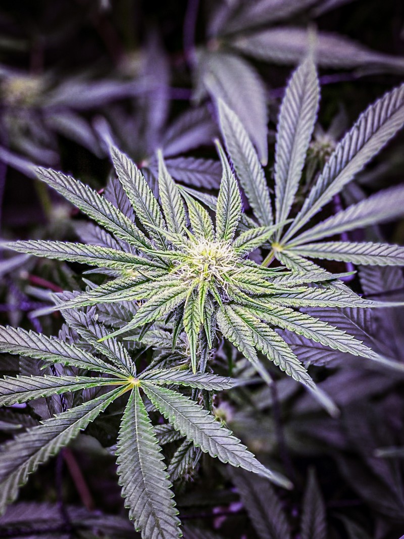 2B200274-9BC0-4C2A-9ECC-7683EF92FAFD