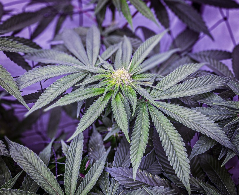 FA9091C4-5DEE-4E18-93F0-1007FDAC120C