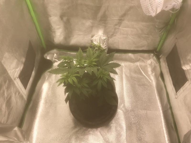 E16E8BA0-4F88-48D7-A16A-E8BD08C31395