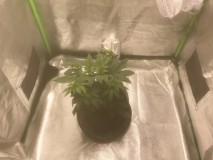 E16E8BA0-4F88-48D7-A16A-E8BD08C31395