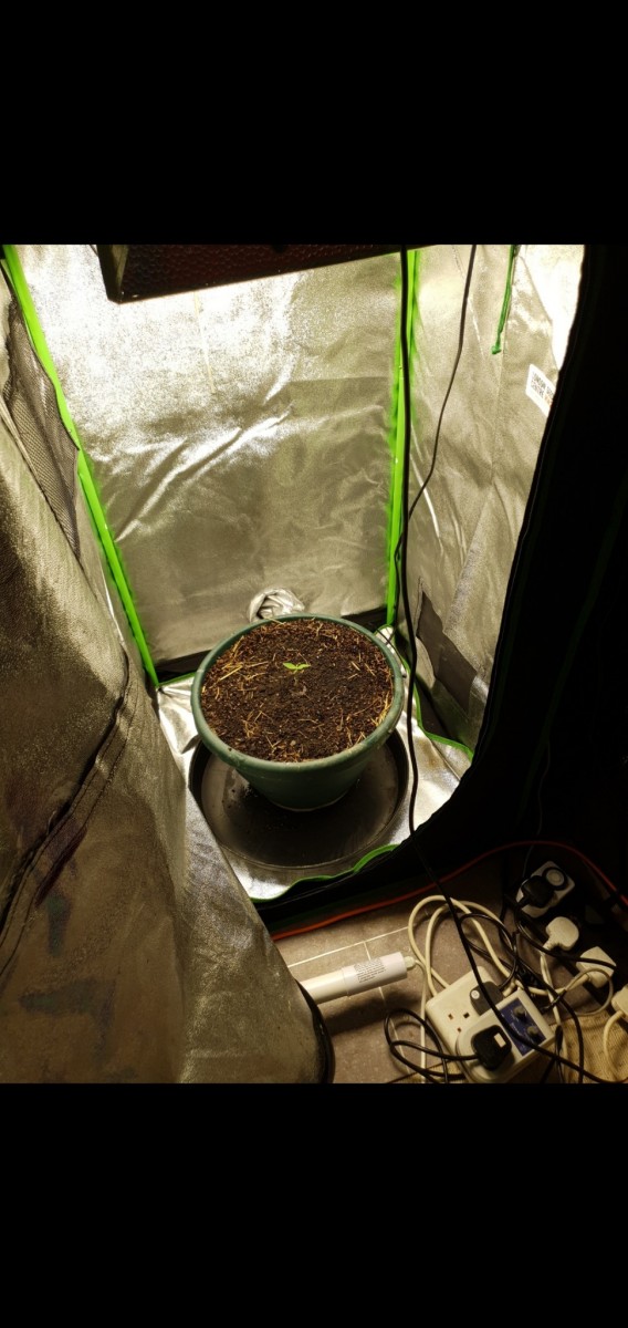 Screenshot_20220212-195242_Gallery