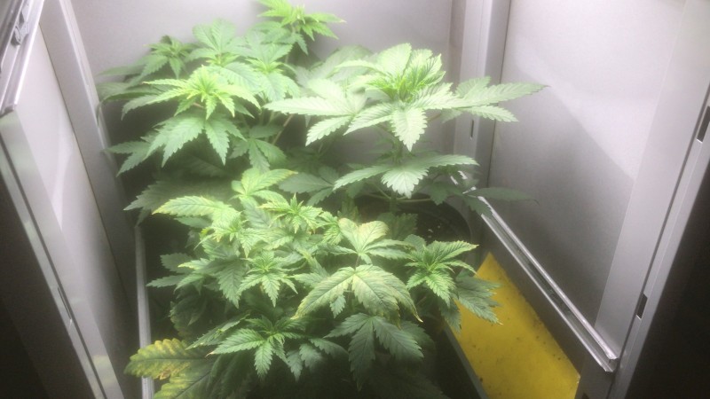 653BF618-74F2-4DF2-9F1C-883D964F2C29