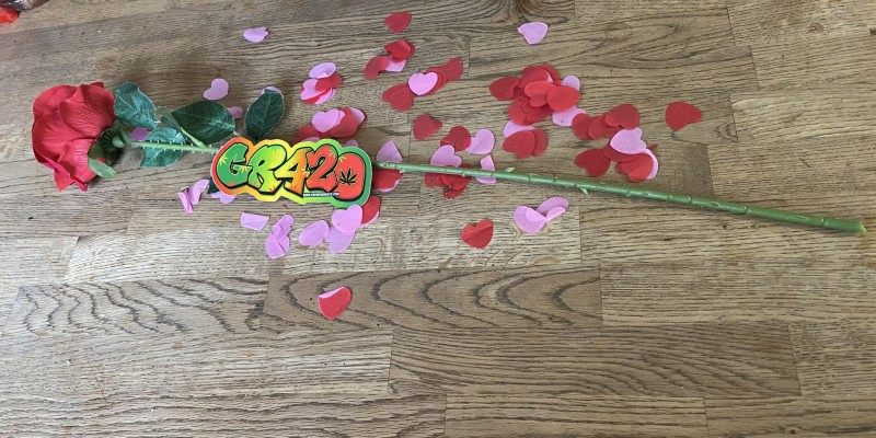 3A53BFBD-E95D-47CE-83BF-9886EF8E01A1