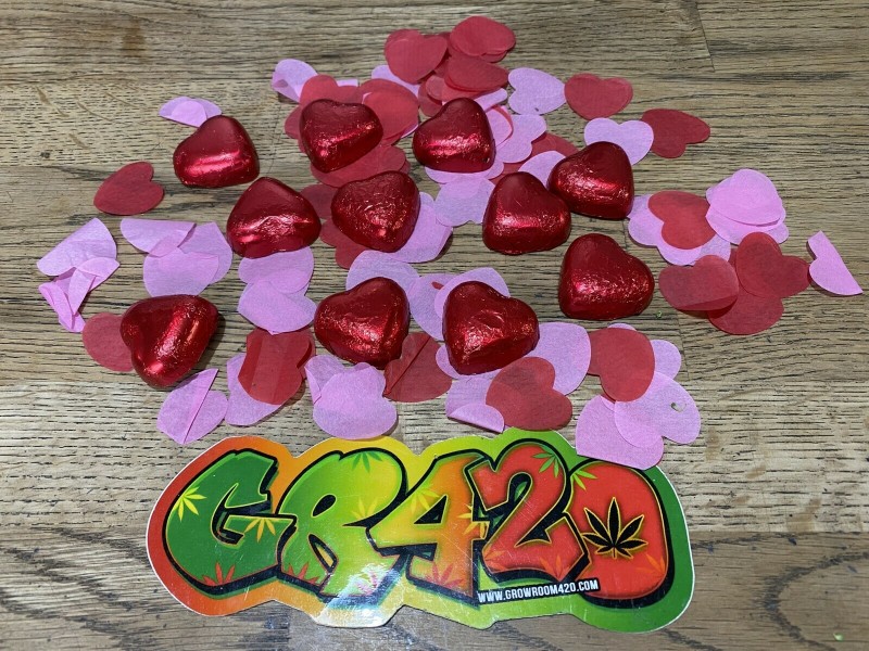 8C80DBED-A605-41FF-94A2-63275721C22E