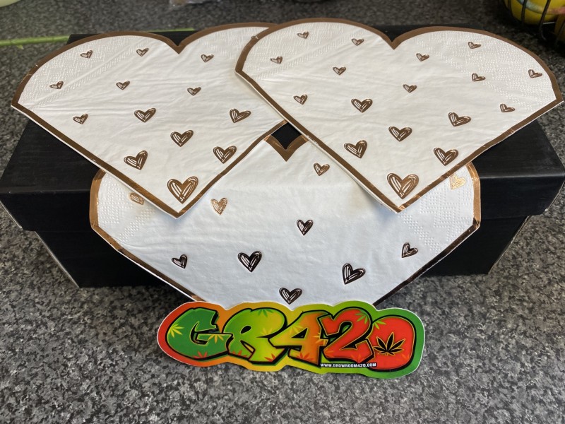 7FC118FF-A8F8-4DD8-AE0A-F07EA4D9D117