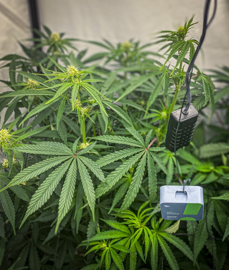 6381408C-6D0F-4C52-89FB-A4561D84077B