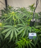 6381408C-6D0F-4C52-89FB-A4561D84077B