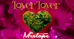 mn lover lover mixtape
