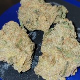 IMG_20220208_123440_663