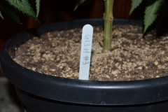 G13 Haze #3 16.02  (1) (800x532)