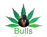 Bulls Logo_Final_Transp-03