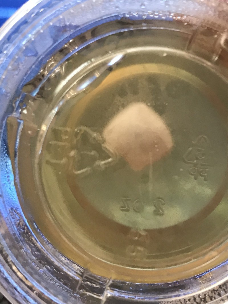 8508F846-ECFA-4033-8F31-0E6131DB9E8B