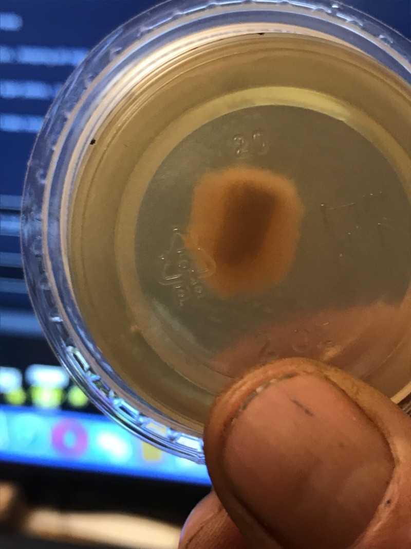 D3B4AD5E-A58B-4800-95D5-21C3E353FF69