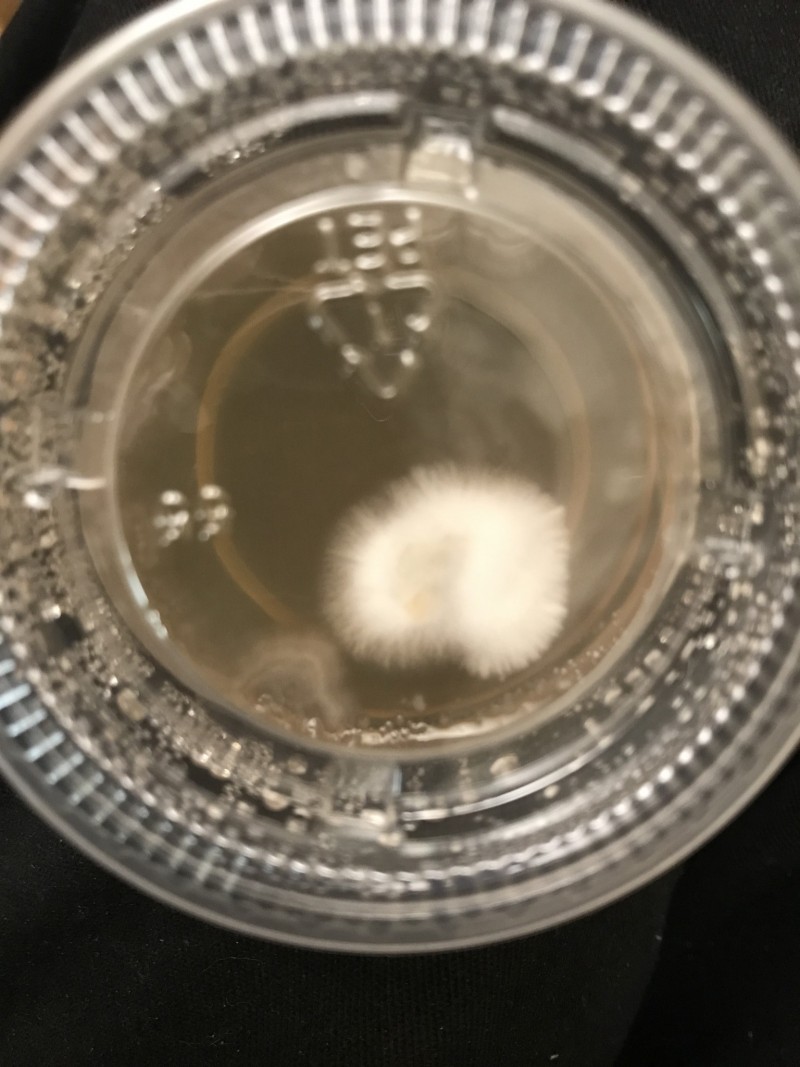 86F883C9-90CE-4A33-91BE-C09AAF70C4D7