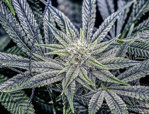 37E805B6-43A1-4EA8-AC84-ADB6B682AC2A