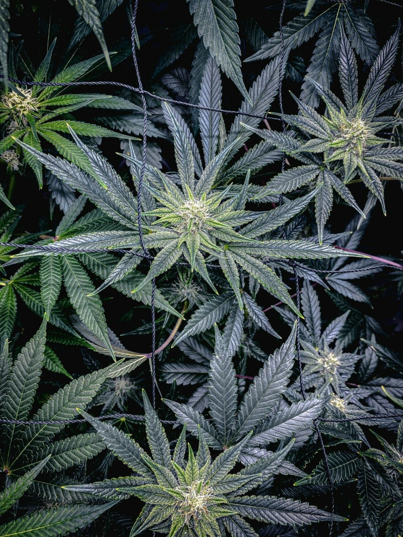 AD2F66B1-9530-4E6C-ACF8-D6ABB93191C8