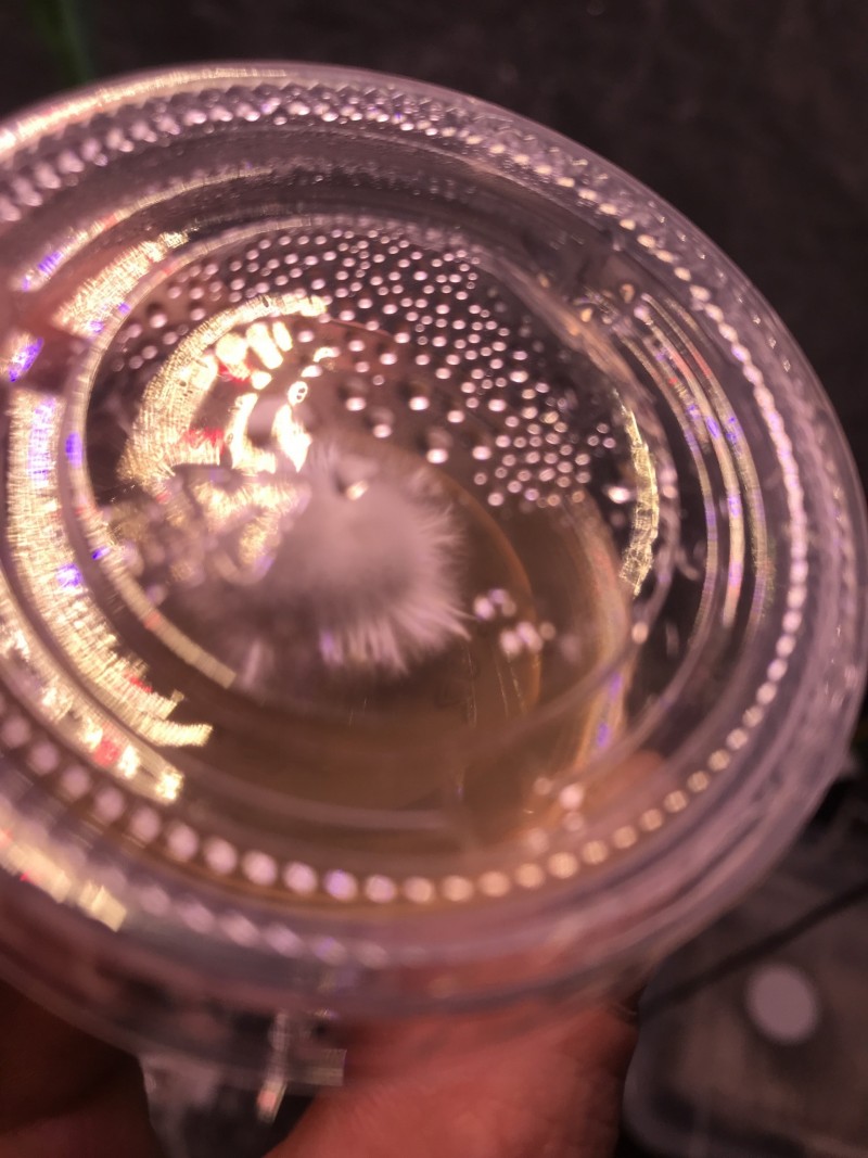 AE350E43-630E-4A70-88C1-1307A0622666