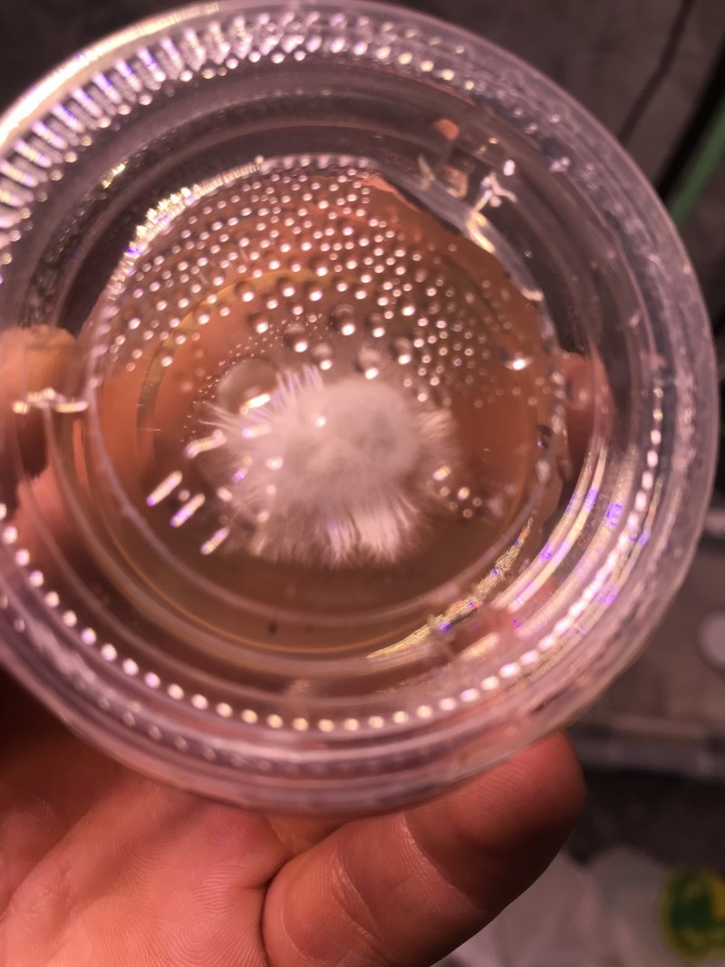 C7532AED-11F3-4F18-956E-6A1F6731877E