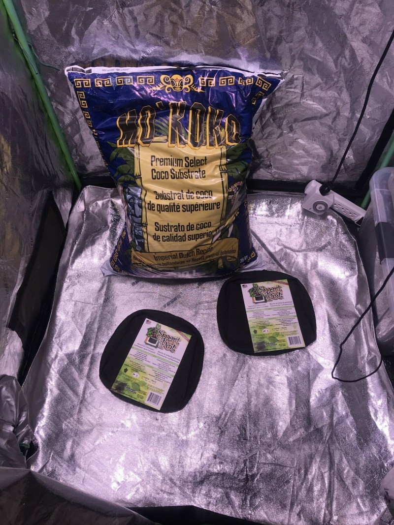 56C2F10F-7B3A-4139-A1AF-DCAE73D1E825