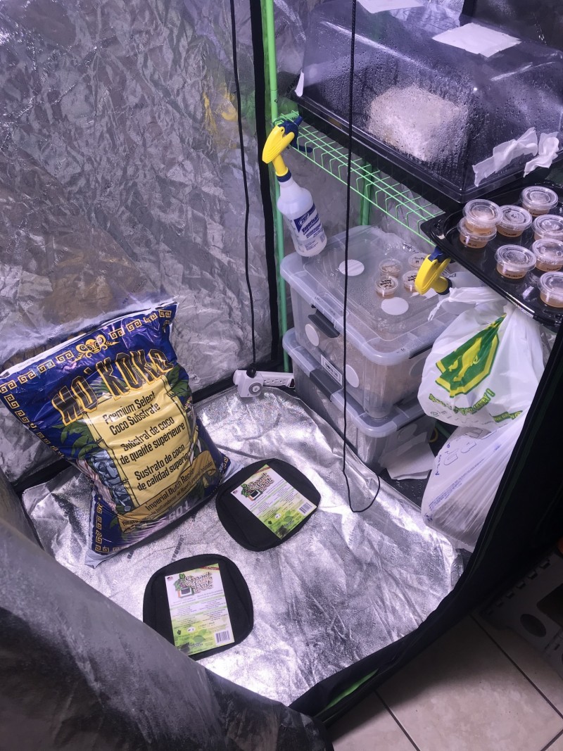 39741C38-D68F-4A59-A9F3-B38A6DBC9A2C