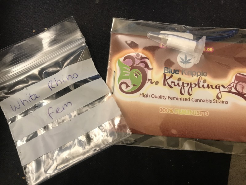 4AAF72D2-79FB-400B-8967-8C7D082CED82