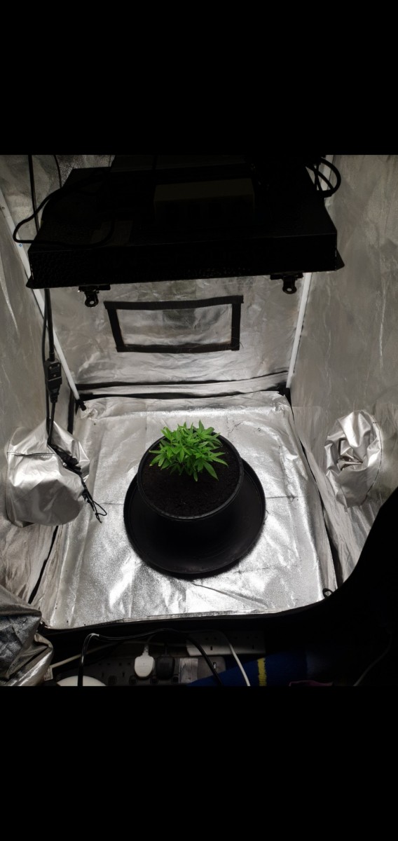 Screenshot_20220219-125919_Gallery