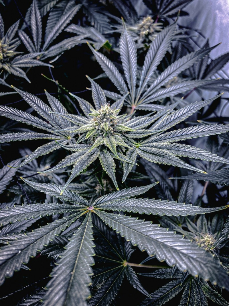 0F93BEC9-A0C6-4EB6-9013-86817127C14D