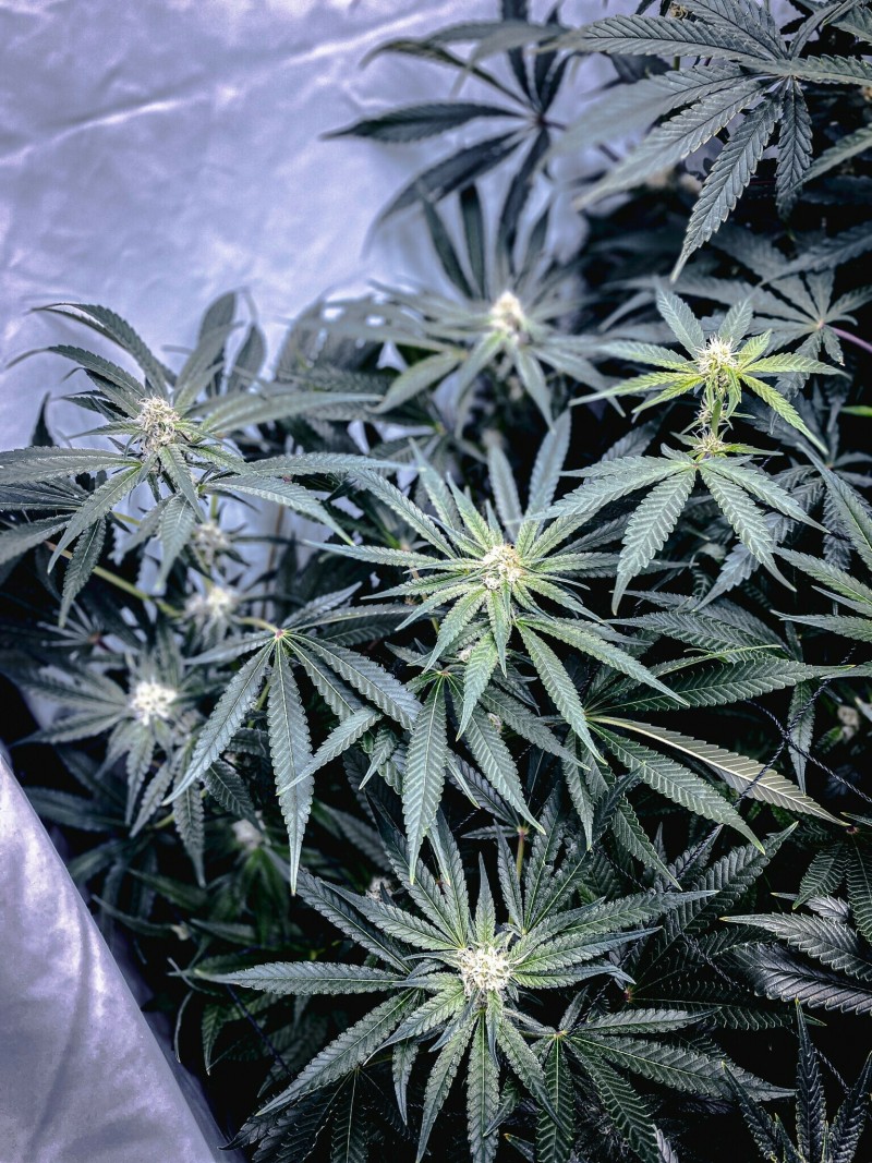 42B21E57-1F43-4455-B5D2-679CAA2BF649