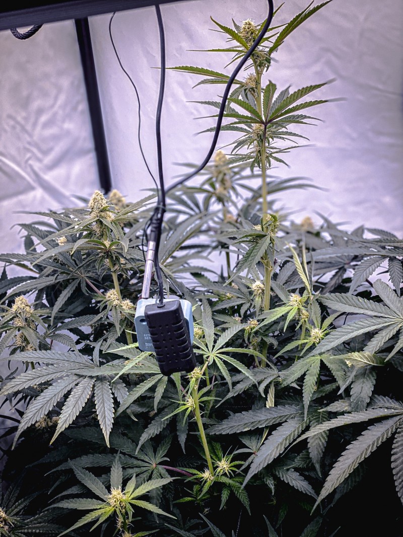 B198DA09-07B0-4749-856D-7DBE7BAC7C7A