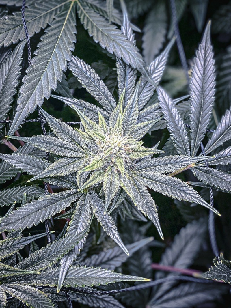 86ACE0A1-EB9E-4028-A9AF-F5F3D030D9D2