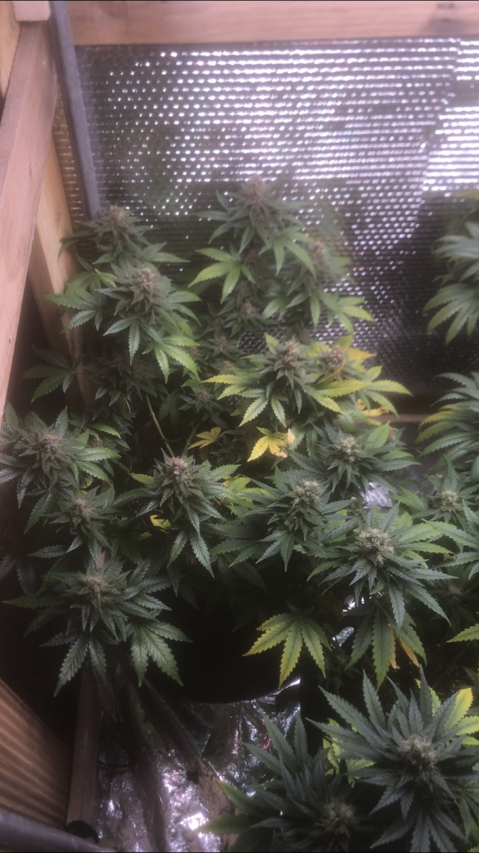 EB1C57C7-1FC6-4BDF-98C3-3CBD0D194407