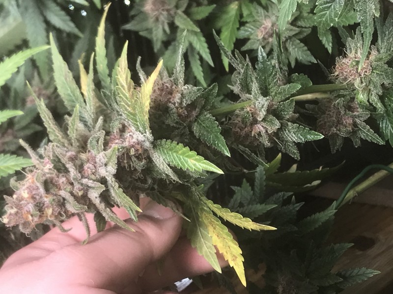 2D12BD85-9CE5-418E-A1EF-3179001731F0