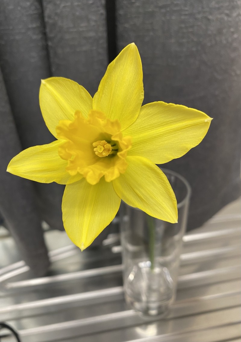 0F315261-78B4-4BC3-BBFC-588FDEBF3027