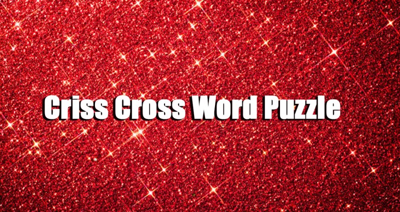 Criss Cross Word Puzzle front