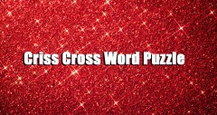 Criss Cross Word Puzzle front