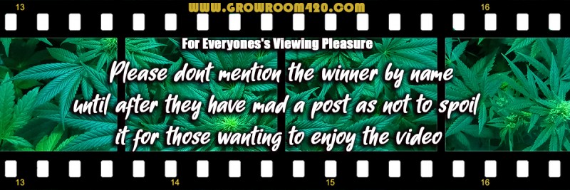 mn vid banner for your viewing pleasure