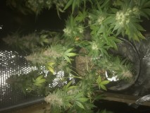 1DA37796-6230-4679-B67D-707DCD2D79AF