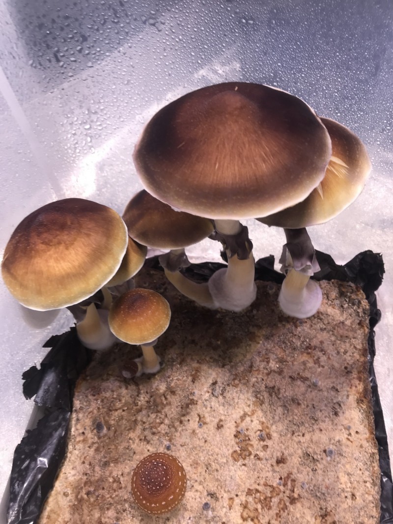 24A94B3A-D11F-4C66-978F-58E585A3A770