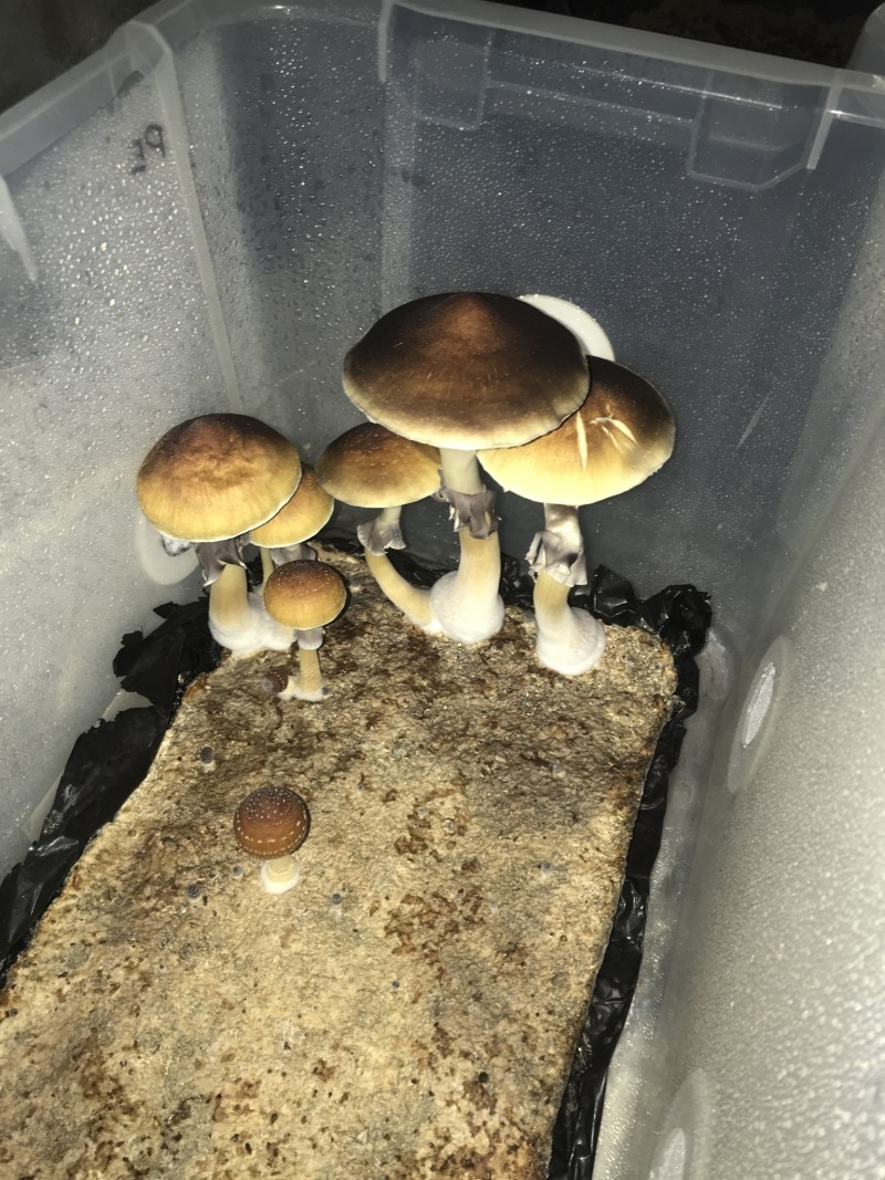 0855DF03-5BEC-48D1-B153-562BE56AD46A