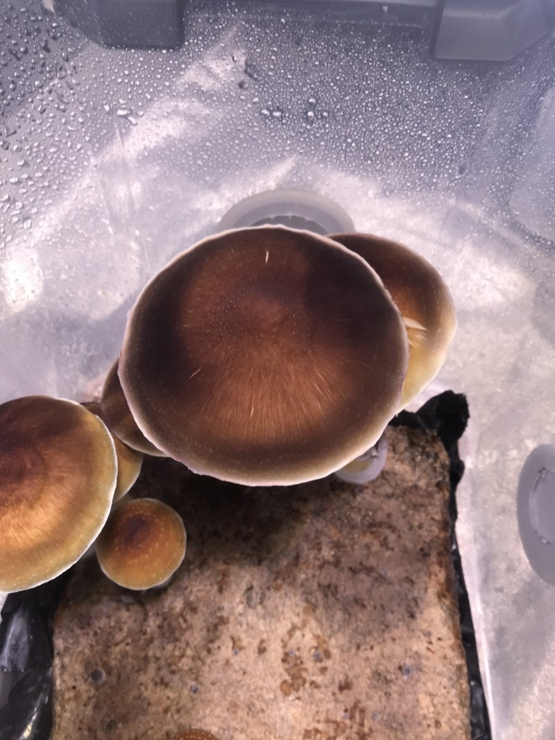 7FA06CAA-04AD-42A6-B654-7E571152D8BB