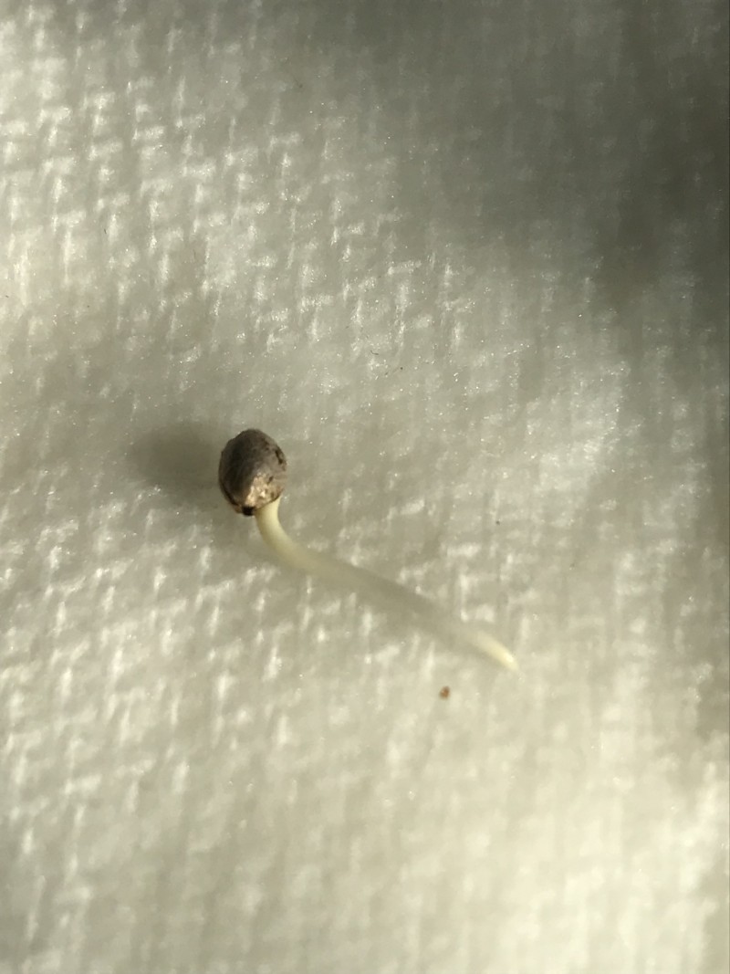 686017CA-772F-480F-AB7F-022BE7A8D930